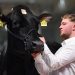 EuroTier 2024: world leading trade fair successfully powers the livestock industry