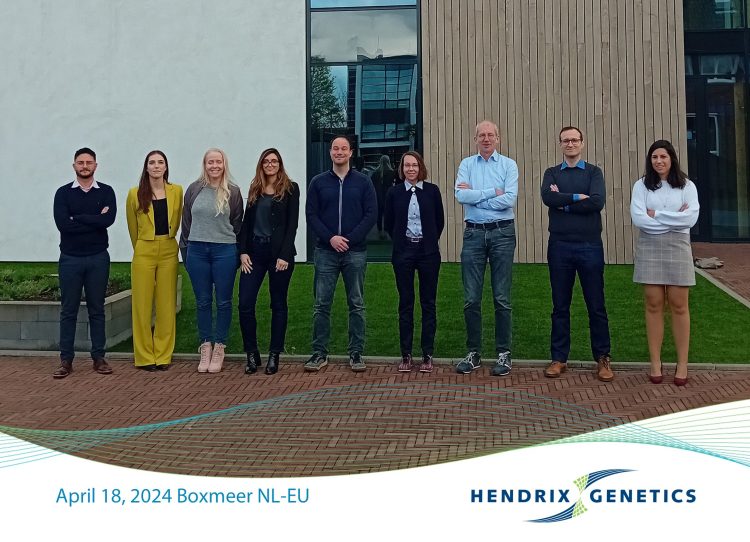 Hendrix Genetics Partners with LABOGENA DNA for Advanced Genotyping Services