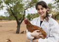 The rapid evolution of avian influenza calls for innovation: why our preventive medicine initiatives are key to reducing zoonotic risks