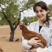 The rapid evolution of avian influenza calls for innovation: why our preventive medicine initiatives are key to reducing zoonotic risks