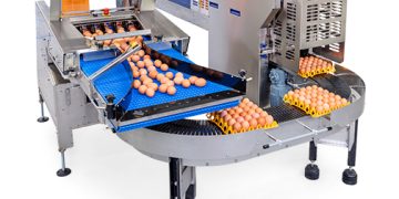 Introducing the Mopack EP