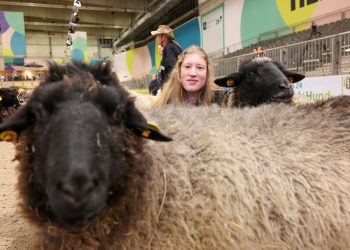 Clattering hooves and animal welfare: experience pets and farmyard animals up close at Grüne Woche 2025