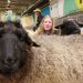 Clattering hooves and animal welfare: experience pets and farmyard animals up close at Grüne Woche 2025