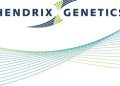 Merger of Hypor and Danish Genetics Officially Closed