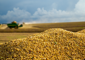 NOVUS shares findings on U.S. soybean meal quality at IPPE 2025