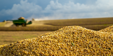 NOVUS shares findings on U.S. soybean meal quality at IPPE 2025