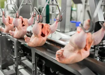BAADER at VIV Asia 2025: Intelligent Poultry Processing to Protect and Add Value