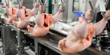 BAADER at VIV Asia 2025: Intelligent Poultry Processing to Protect and Add Value