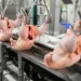 BAADER at VIV Asia 2025: Intelligent Poultry Processing to Protect and Add Value