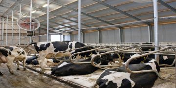 Introducing the Multifan AirBreeze: The ultimate answer to heat stress