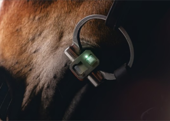Vbite, the first high-tech bit for horses, is now available on Kickstarter.