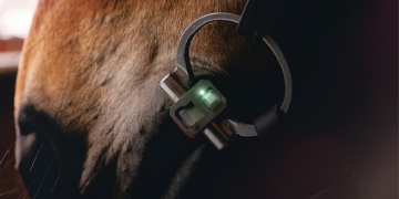Vbite, the first high-tech bit for horses, is now available on Kickstarter.