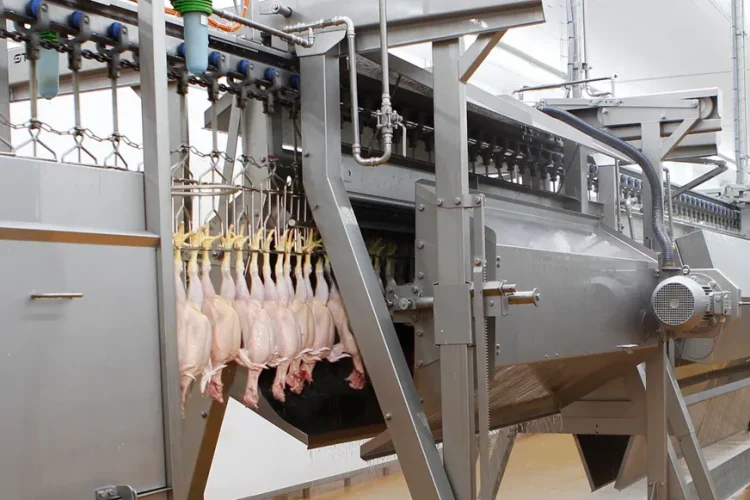 Plucking has hardly changed in decades