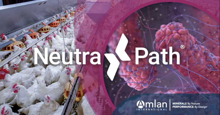 NeutraPath® Effectively Inhibits Salmonella Colonization in Poultry