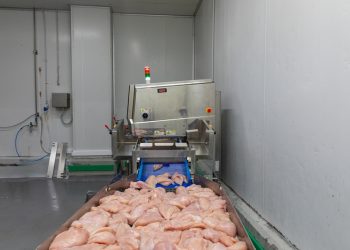 Ishida X-Ray Technology delivers enhanced quality control for poultry line