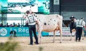 SOMMET DE L’ELEVAGE 2025: XXL SIZE AMBITIONS