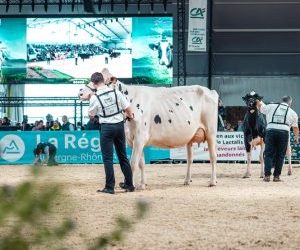 SOMMET DE L’ELEVAGE 2025: XXL SIZE AMBITIONS