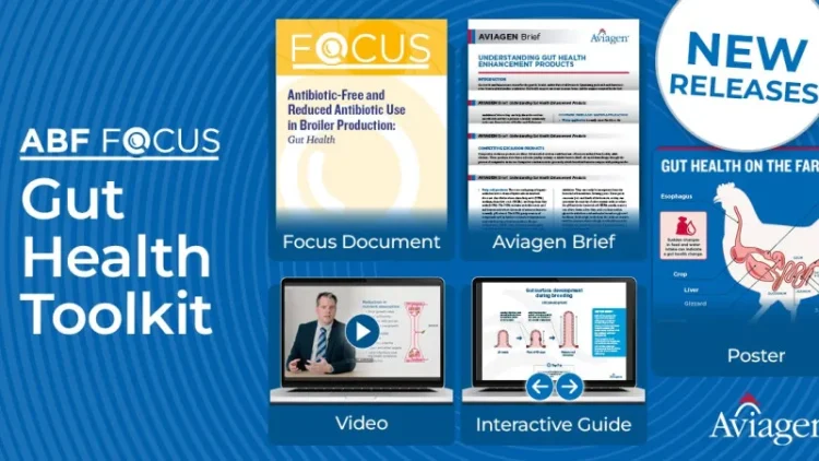 New Aviagen Toolkit Puts Broiler Gut Health in Focus