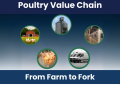 XELERATE Business Solutions: Rethinking Poultry & Agri-Business with Smart ERP