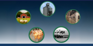 XELERATE Business Solutions: Rethinking Poultry & Agri-Business with Smart ERP