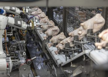 Scott Technology expands poultry trussing technology into Canada