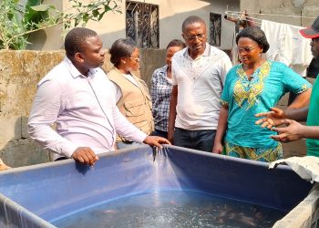 Cameroon: Fish farming makes a difference in the fight to improve living standards