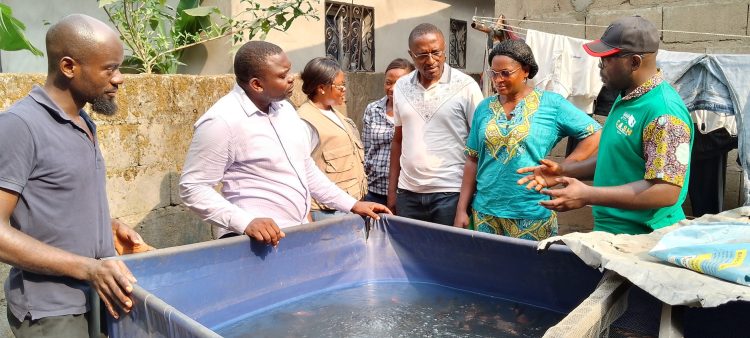 Cameroon: Fish farming makes a difference in the fight to improve living standards