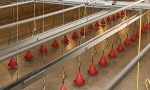 Ridder Drive Systems for Livestock and Crop Storage