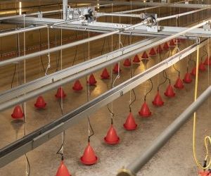 Ridder Drive Systems for Livestock and Crop Storage