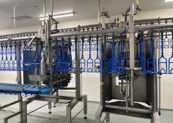 Is Bigger Always Better? A New Approach to Poultry Processing