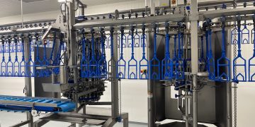 Is Bigger Always Better? A New Approach to Poultry Processing