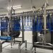 Is Bigger Always Better? A New Approach to Poultry Processing