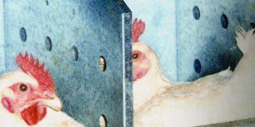 The Impact of Nest Materials on Breeder Layer Productivity