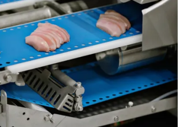 How to turn large fillets into consumer-ready products?