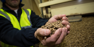 6 Key Performance Indicators for Measuring Feed Production Throughput