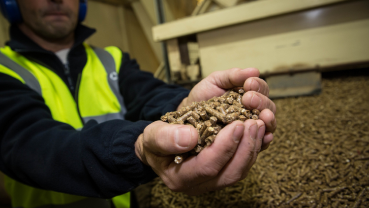 6 Key Performance Indicators for Measuring Feed Production Throughput