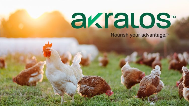 Akralos Animal Nutrition debuts, delivering advanced feed and nutrition solutions across North America