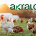 Akralos Animal Nutrition debuts, delivering advanced feed and nutrition solutions across North America