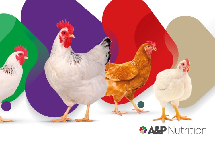 Invisible stressors: When unseen challenges limit performance