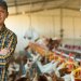 New ABB whitepaper rethinks poultry ventilation strategy