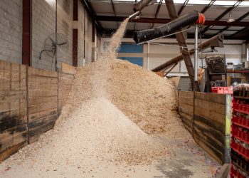 Uae’s unsold bread could help reduce reliance on imported livestock feed
