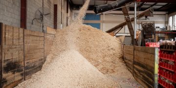 UAE’s unsold bread could help reduce reliance on imported livestock feed