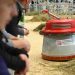 At EuroTier 2026: Spotlight on robotics in livestock farming