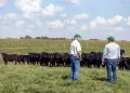 Neogen® Committed to Helping Ranchers, Livestock Producers, and Horse Owners Fight Against New World Screwworm