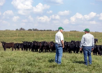 Neogen® Committed to Helping Ranchers, Livestock Producers, and Horse Owners Fight Against New World Screwworm