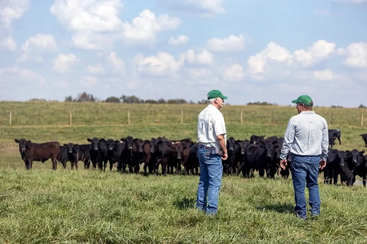 Neogen® Committed to Helping Ranchers, Livestock Producers, and Horse Owners Fight Against New World Screwworm