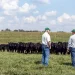Neogen® Committed to Helping Ranchers, Livestock Producers, and Horse Owners Fight Against New World Screwworm