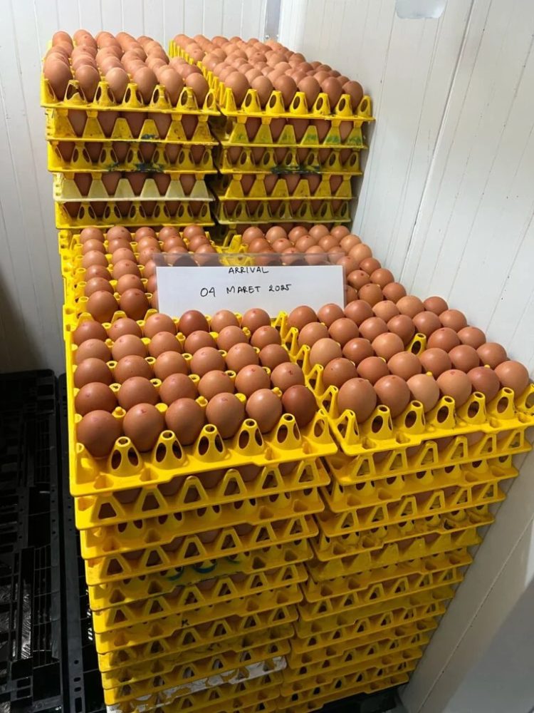 WMU Targets Expansion to Become Southeast Asia’s Largest Cage-Free Egg Producer