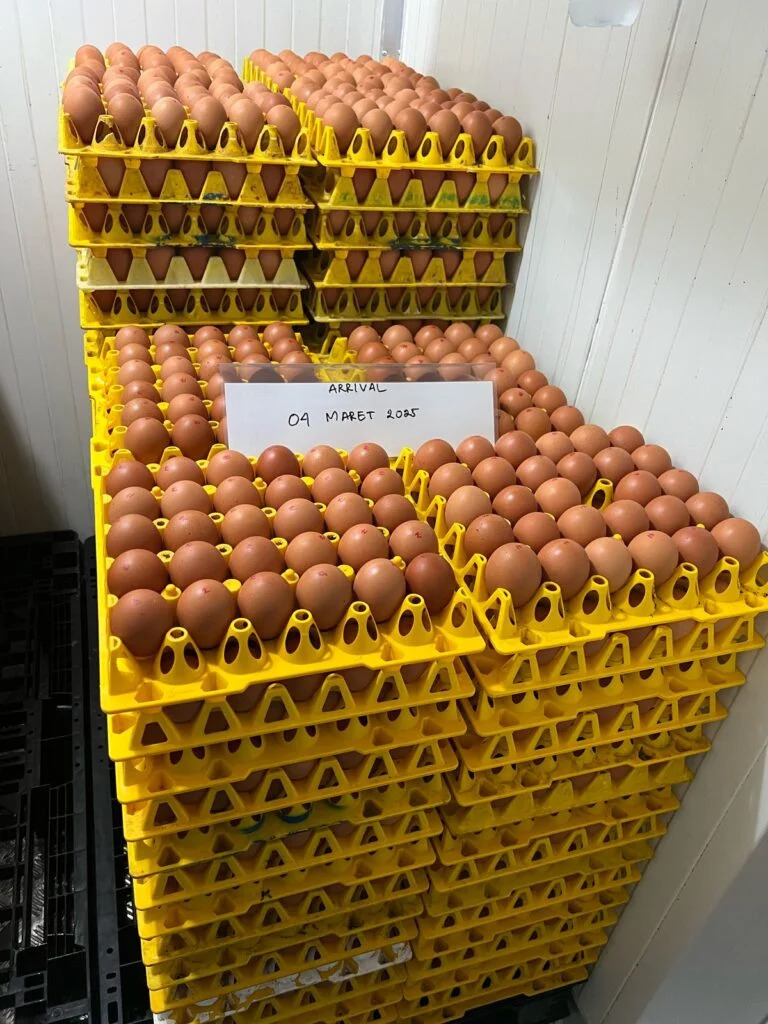 WMU Targets Expansion to Become Southeast Asia’s Largest Cage-Free Egg Producer
