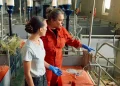 The hidden impact of veterinary care: new insights from a global survey of veterinarians